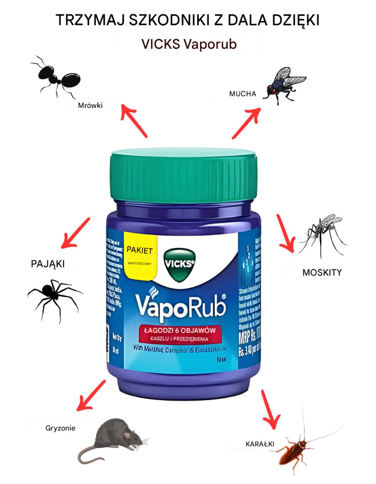 Trzymaj szkodniki z daleka dzięki Vicks Vaporub – naturalna i skuteczna wskazówka