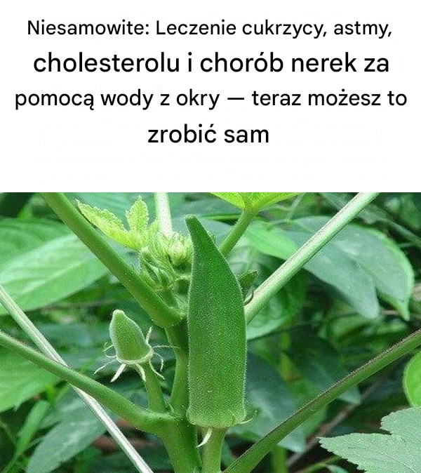 Niesamowite: Leczenie cukrzycy, astmy, cholesterolu i chorób nerek wodą z okry – teraz możesz to zrobić sam