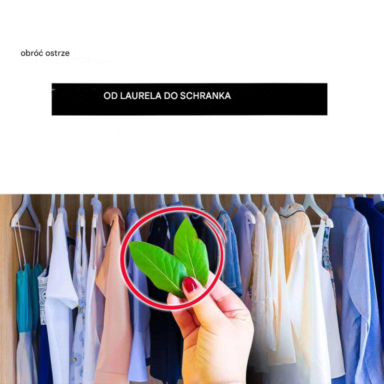 4 powody, dla których warto używać liści laurowych w kuchennej szafce