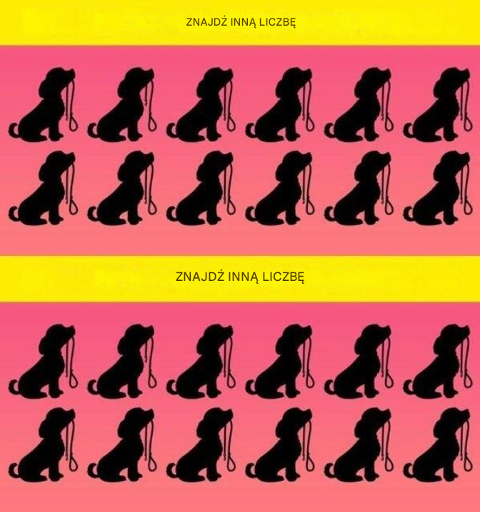 Jak bardzo zwracasz uwagę na szczegóły? Te 9 obrazów sprawdzi twoją zdolność obserwacji.