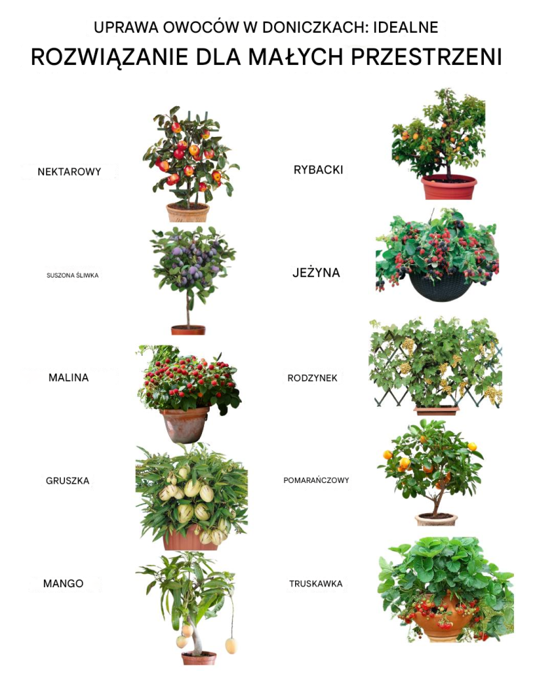 🌿🍓 Uprawa owoców w doniczkach: idealne rozwiązanie do małych przestrzeni ✨🏡