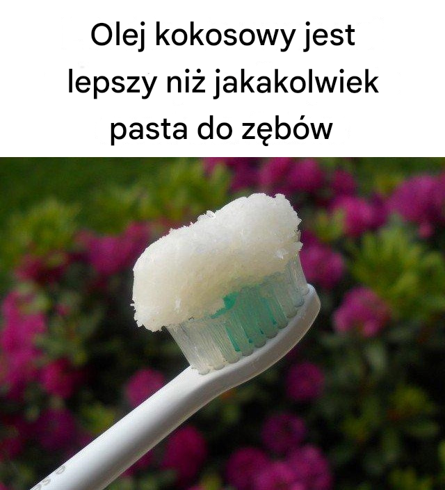 Olej kokosowy jest lepszy niż jakakolwiek pasta do zębów
