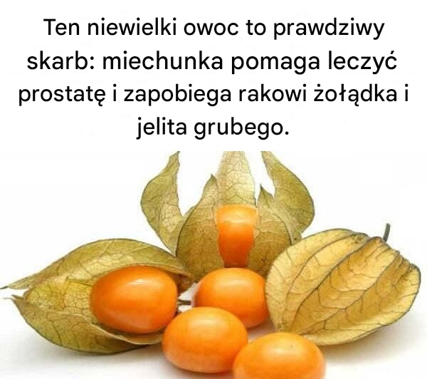 Ten niewielki owoc to prawdziwy skarb: miechunka pomaga leczyć prostatę i zapobiega rakowi żołądka i jelita grubego.