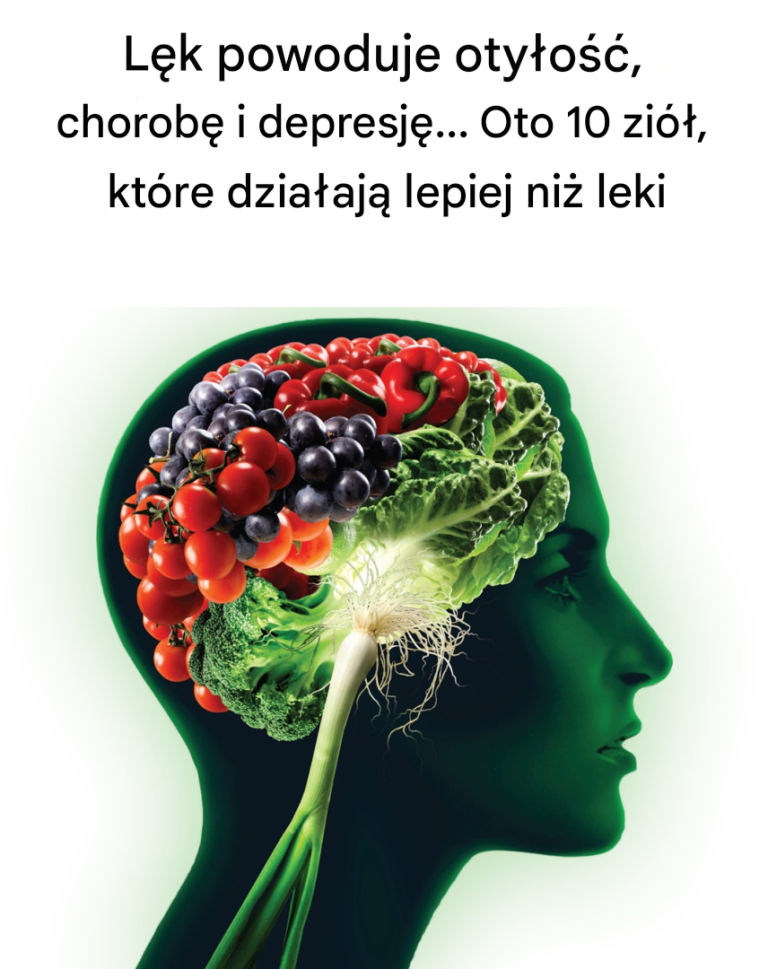 Lęk powoduje otyłość, chorobę i depresję… Oto 10 ziół, które działają lepiej niż leki