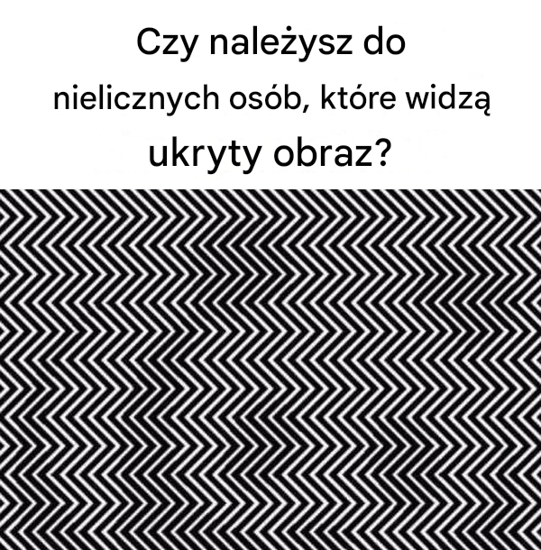 Czy należysz do nielicznych osób, które widzą ukryty obraz?