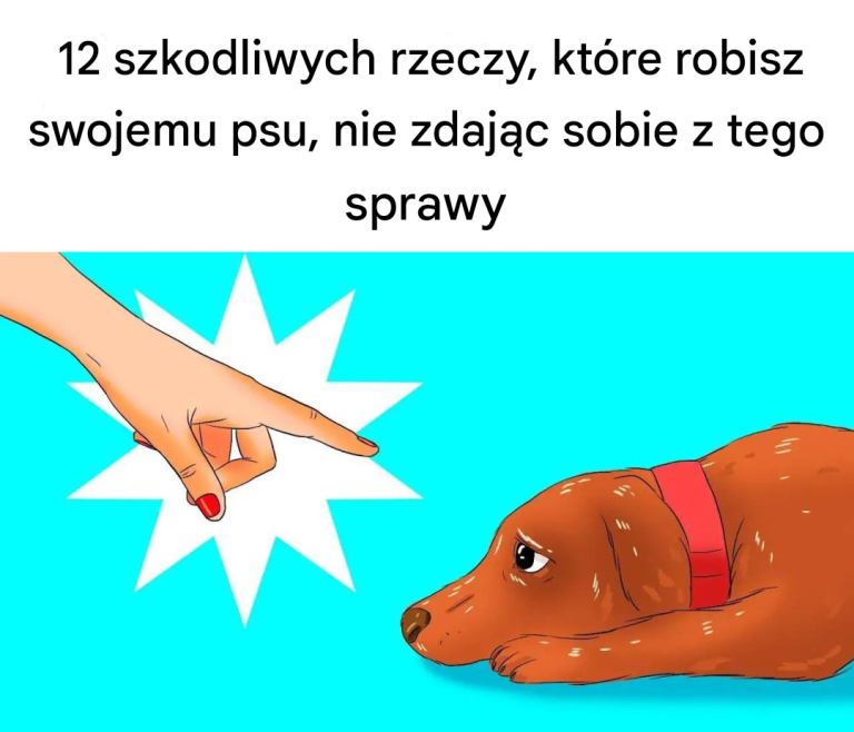 12 szkodliwych rzeczy, które robisz swojemu psu, nie zdając sobie z tego sprawy
