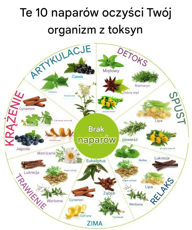 Te 10 naparów oczyści Twój organizm z toksyn