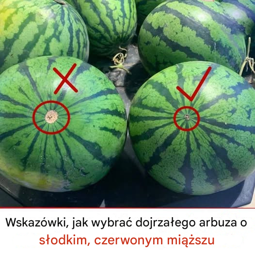 Jak wybrać dojrzałego arbuza o słodkim, czerwonym miąższu