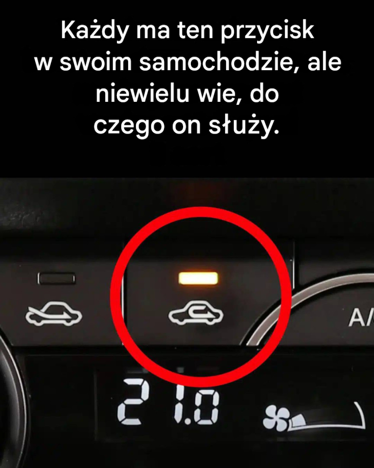 Do czego służy ten przycisk w samochodzie?