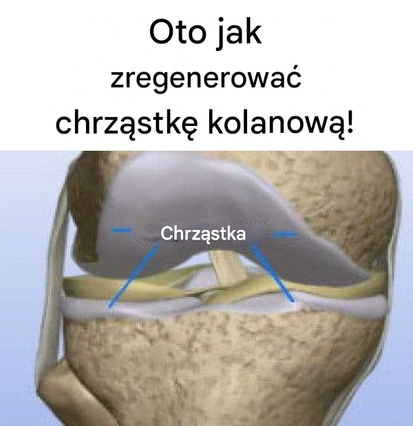 Oto jak zregenerować chrząstkę kolanową!