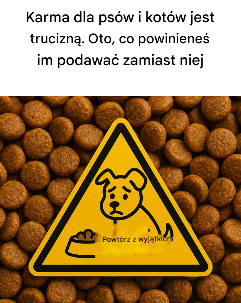 Ta trucizna nazywa się krokietem