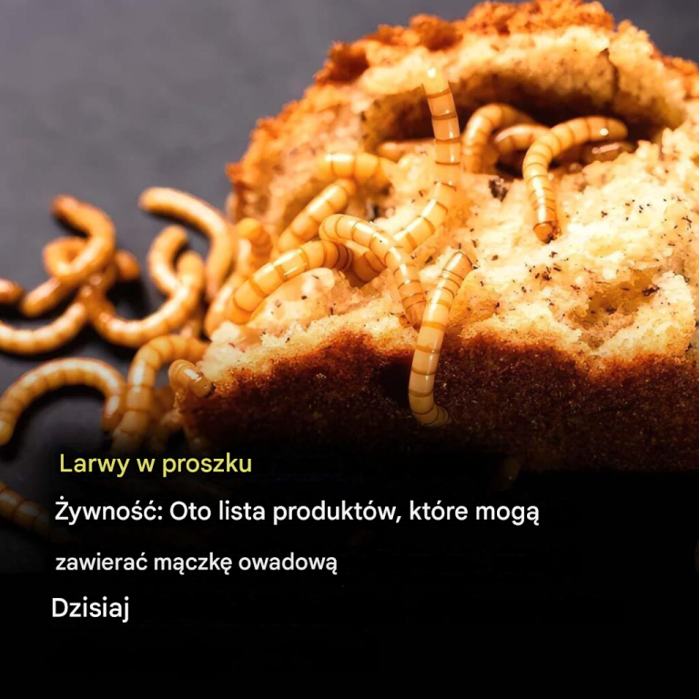 Mączka z larw w żywności: dowiedz się już teraz, które produkty mogą zawierać ten składnik