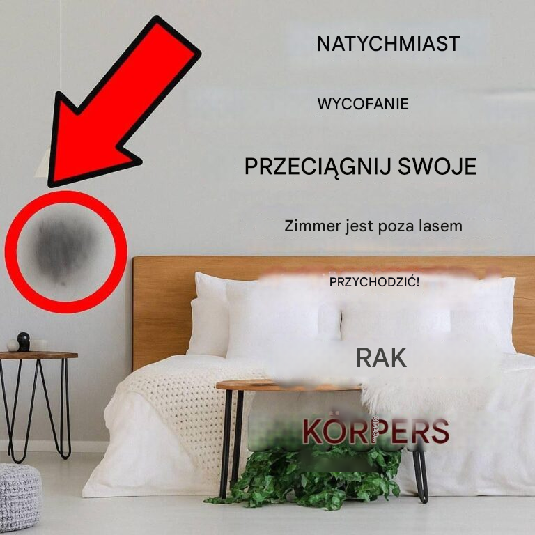 Ukryte zagrożenia w Twoim domu! 8 codziennych przedmiotów, które szkodzą Twojemu zdrowiu