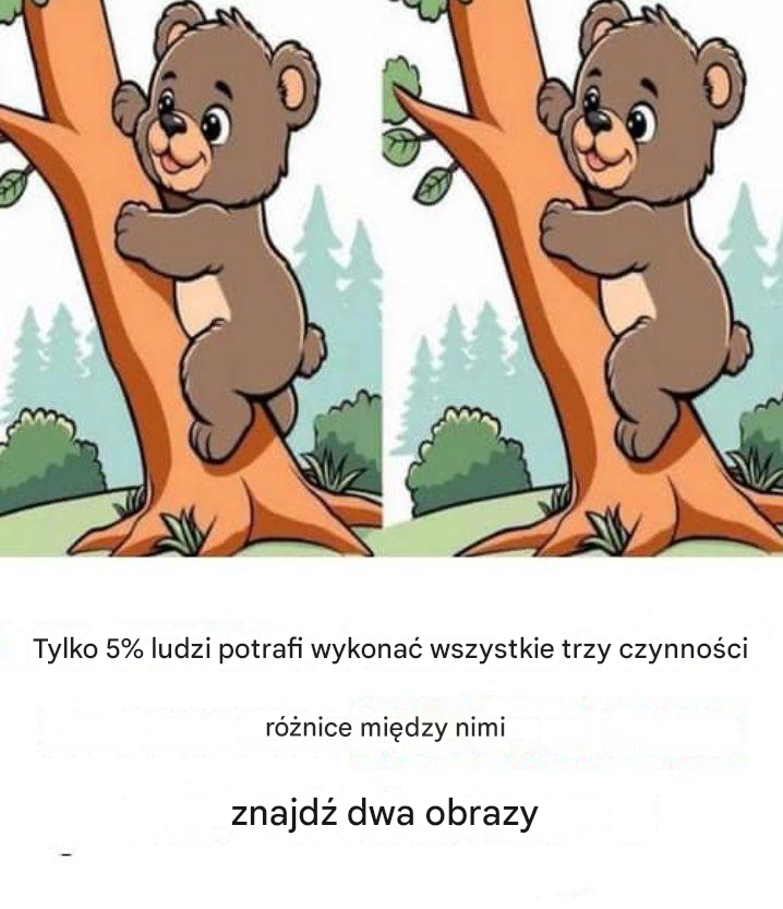 Test: Tylko osoby o doskonałym wzroku dostrzegą różnice między tymi dwoma obrazkami w ciągu 13 sekund