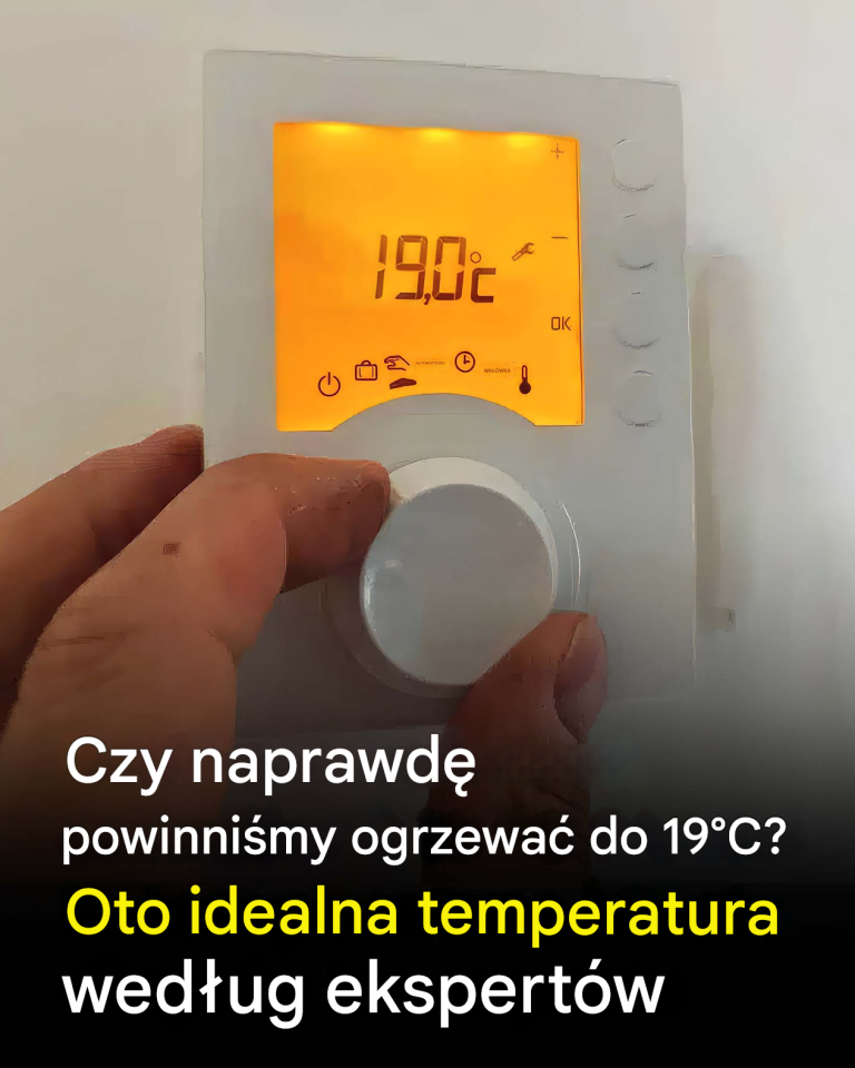 Czy naprawdę powinniśmy ogrzewać do 19°C? Oto idealna temperatura według ekspertów