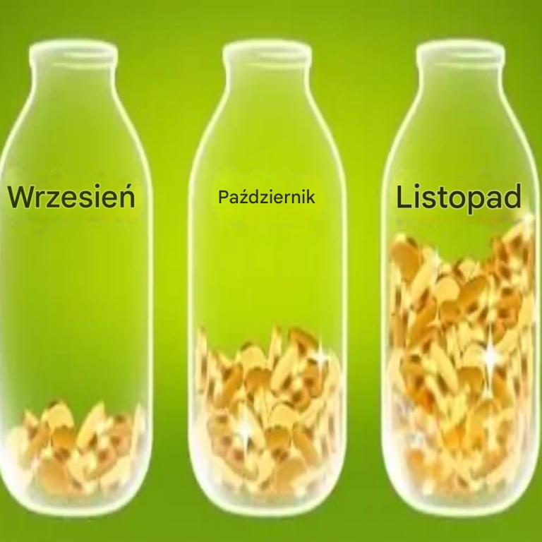 Jak oszczędzać co miesiąc: 2 zasady, których należy przestrzegać