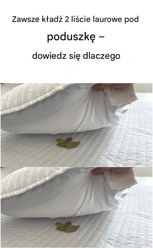 Zawsze kładź 2 liście laurowe pod poduszkę – dowiedz się dlaczego