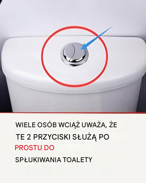 Wiele osób nadal uważa, że ​​te dwa przyciski służą tylko do spłukiwania wody w toalecie.