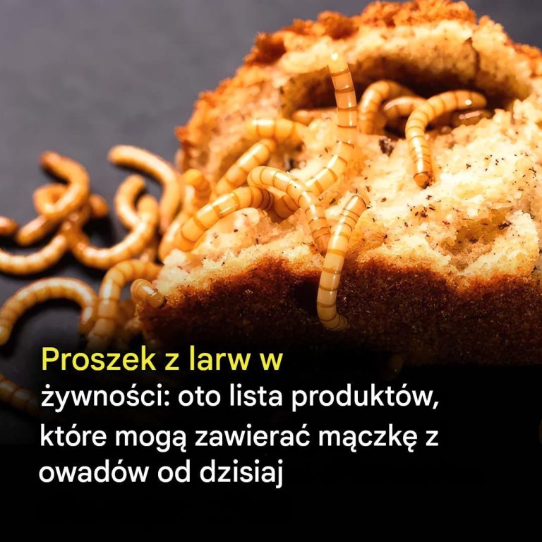 Mączka z larw w produktach spożywczych: dowiedz się, które produkty mogą teraz zawierać ten składnik