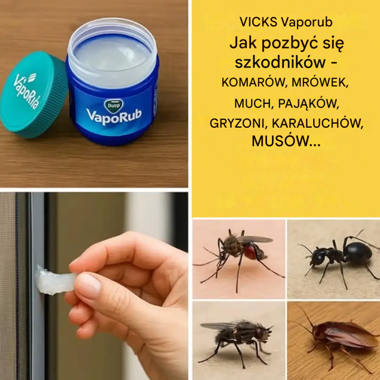 Niewiarygodne! Vicks VapoRub – Twoja Tajna Broń na Komary, Mrówki, Myszy i Inne Szkodniki! Ten Sekretny Triki Odmieni Twój Dom!
