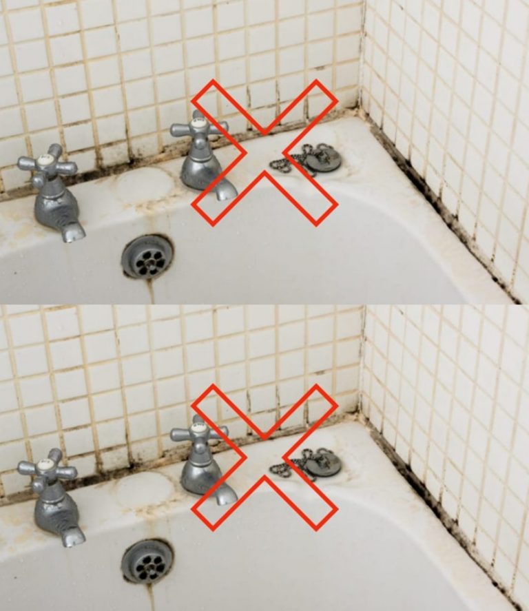 Rewolucja w Twoim Domu! Koniec z Pleśnią w Prysznicu, na Ścianach Domu i na Drewnie: To Jedyna Rzecz, Która Wszystko Usuwa – Odkryj Skuteczne i Bezpieczne Metody na Czysty i Zdrowy Dom!