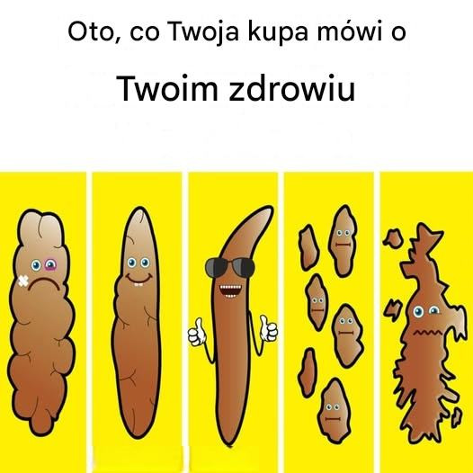 Co Twoje Stolec Może Zdradzić o Twoim Zdrowiu – Kluczowe Wskazówki