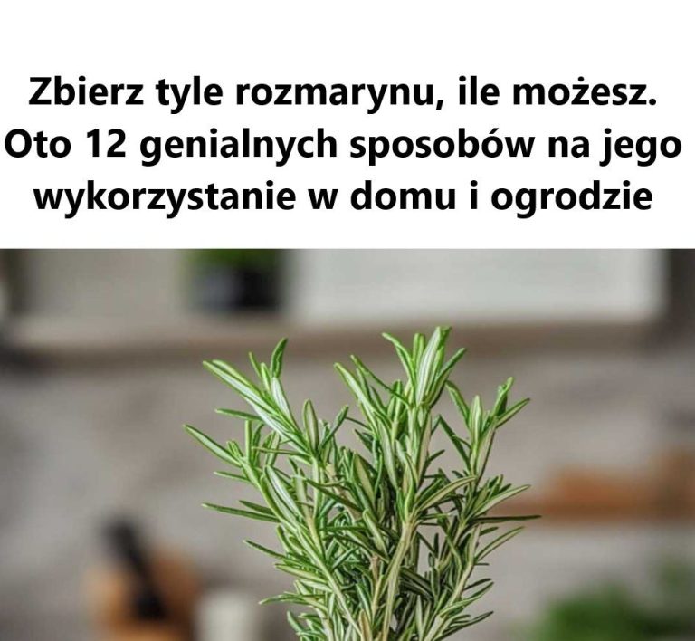 Muszę już iść i zacząć zbierać!