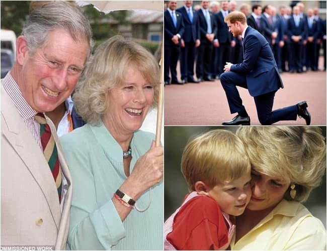 Camilla publicznie ogłasza wyniki testu DNA, pozostawiając Harry'ego na kolanach i płaczu przed bramami pałacu: „Diana powiedziała nam, że biologicznym ojcem Harry'ego jest…”