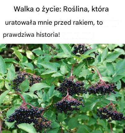 Walka z rakiem: 20 produktów spożywczych, których warto spróbować