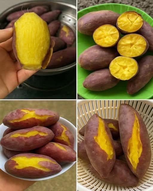 5 niesamowitych korzyści zdrowotnych słodkich ziemniaków