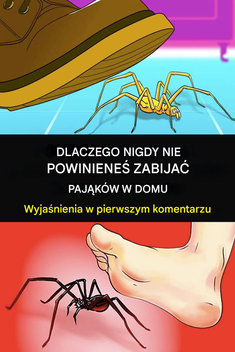 Powód, dla którego nigdy nie powinieneś zabijać pająków w domu