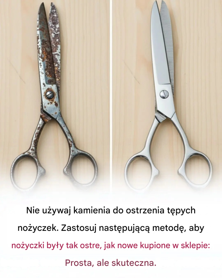 Jak wyostrzyć matowe nożyczki bez kamienia ostrzenia: prosta i skuteczna metoda