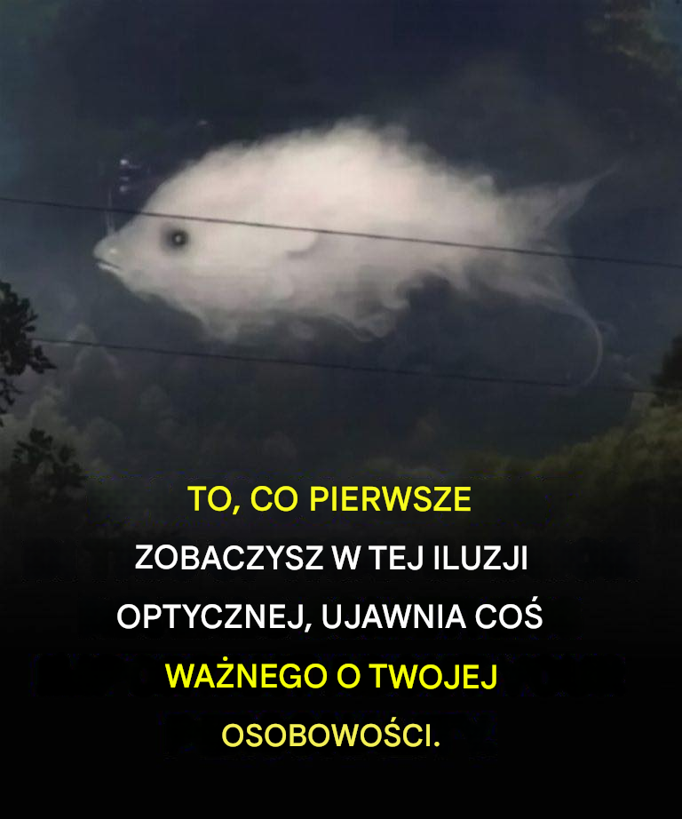 Test: To, co widzisz, ujawnia coś ważnego na temat twojej osobowości